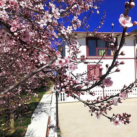 Il Profumo Della Natura Bed & Breakfast